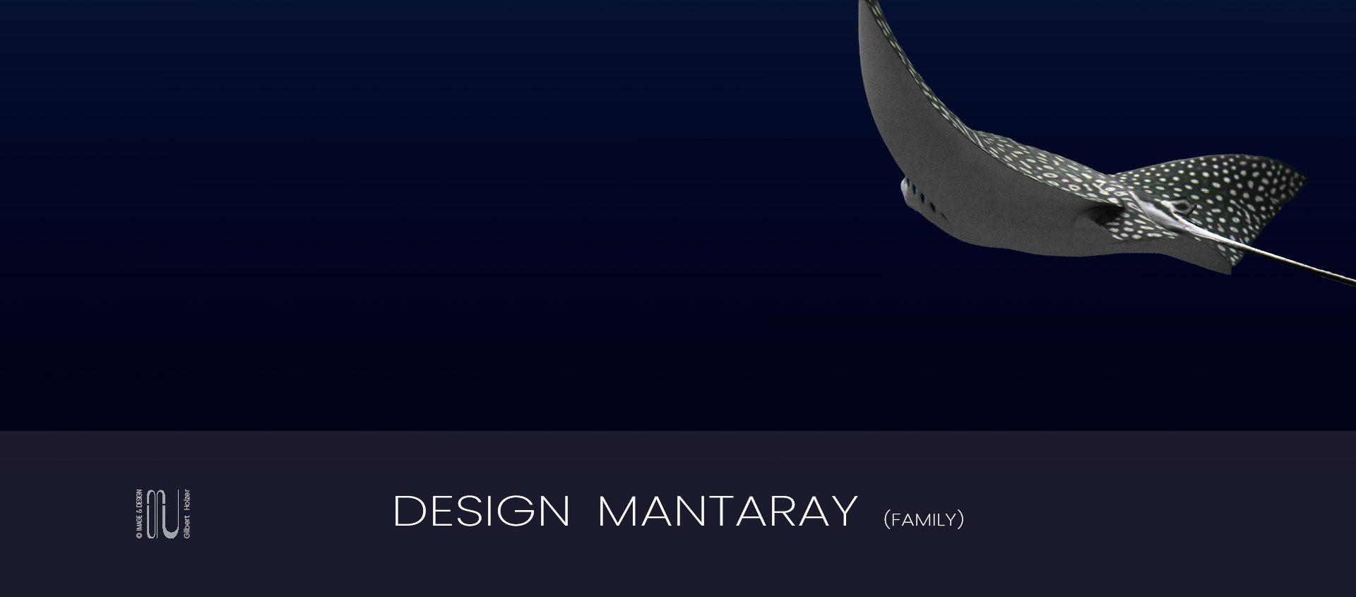 AIRONART aircraft exterior design